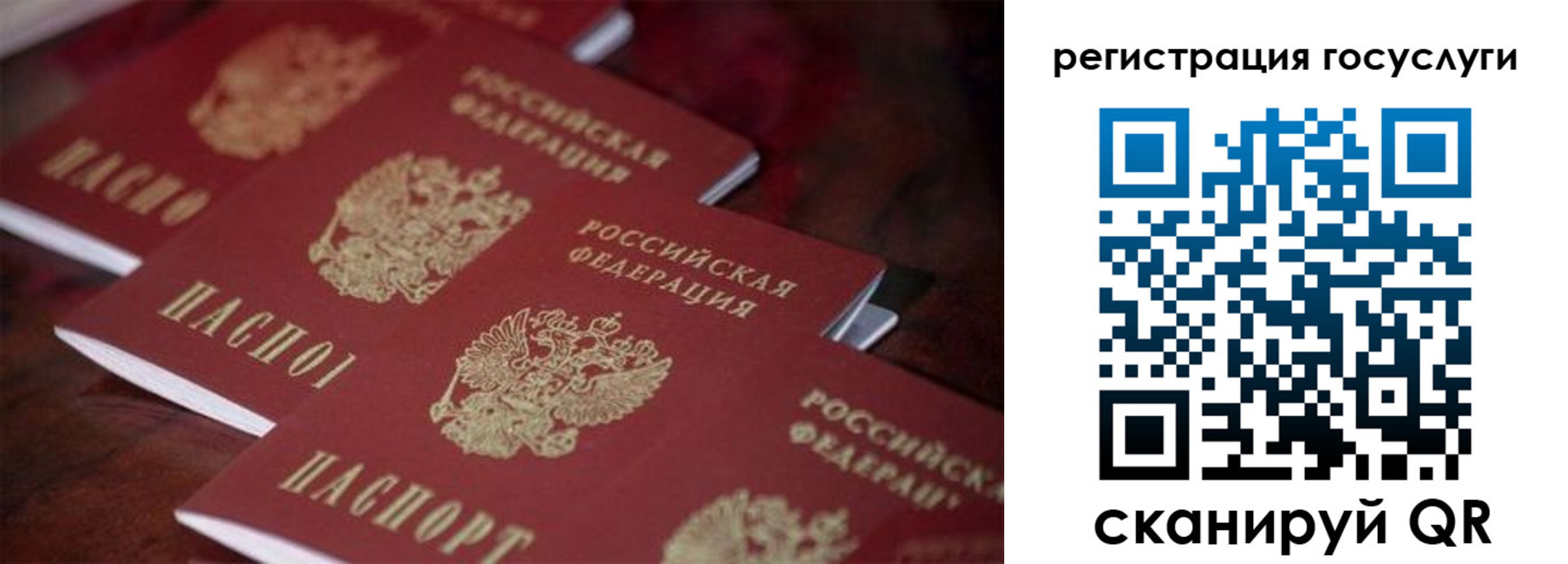 где прописаться в Бикине